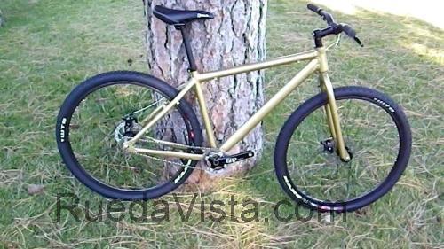 Nashbar Single-Speed 29er Mountain Bike ficha técnica y opiniones